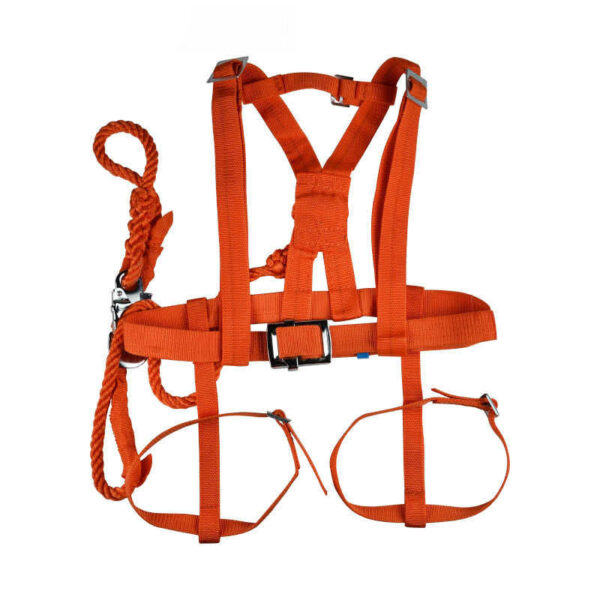 Electrician's Safety Harness